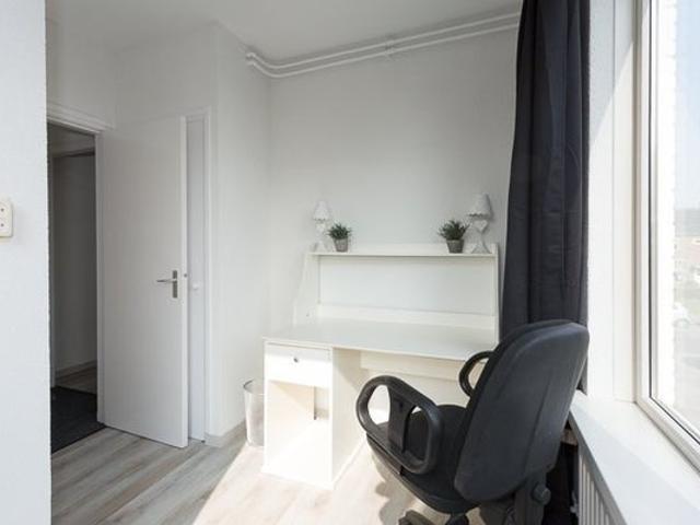 Oranjelaan, Zoetermeer Amsterdam Apartments for Rent