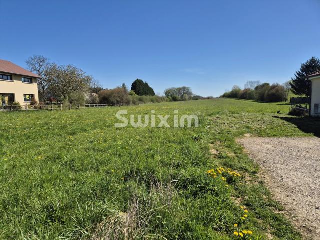 Orchamps Vente Terrain 39