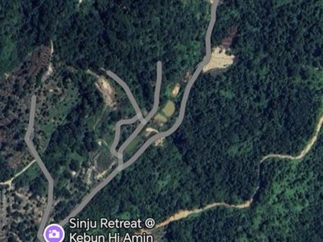 Orchard in Sungai Sinju, Pulai Keramat, Simpang Pulai Perak