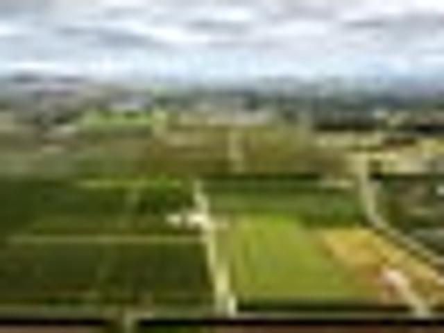 Orchard income and opportunity