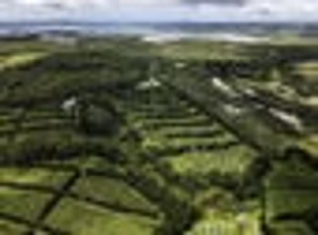 Orchard Life, Coastal Living!
