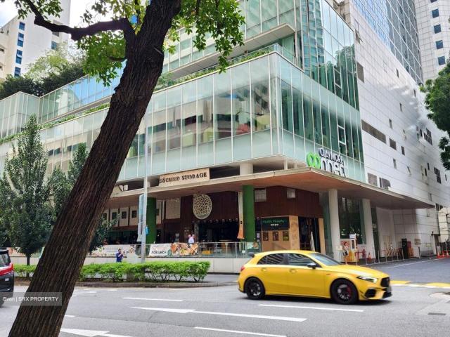 Orchard Towers D9, Apartment