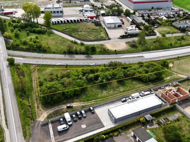 Orcholska 2 782 m², Gniezno