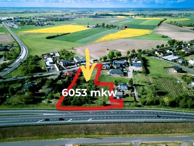 Orcholska 6 053 m², Gniezno