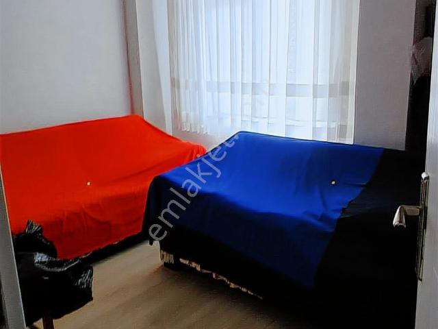 Ordu Murat Kent Perşembe Efirli Mh Satılık Bahçe Katı