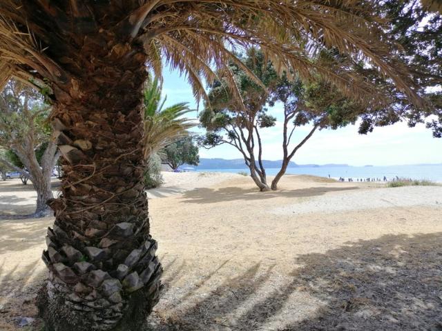 orewa, 3 bedrooms
