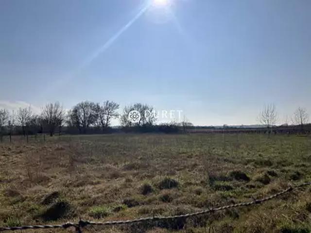 Orée d'Anjou 49530 Achat / Vente terrain