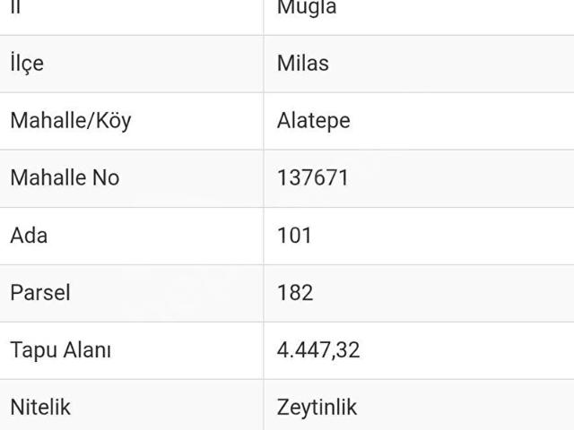 Ören, Alatepe de 4447 m2 Zeytinlık