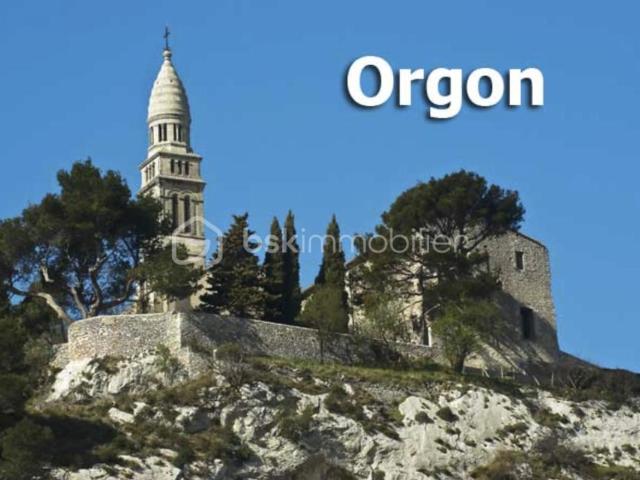 Orgon Vente Terrain 13