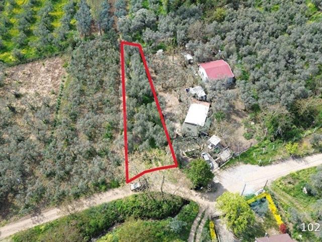 Orhangazi akharem Mahallesinde satılık zeytinlik ve hobi bahçesi