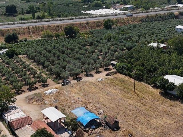 Orhangazi Muradiye'de Merkeze 1 Km 5.034 m Satılık Bahçe