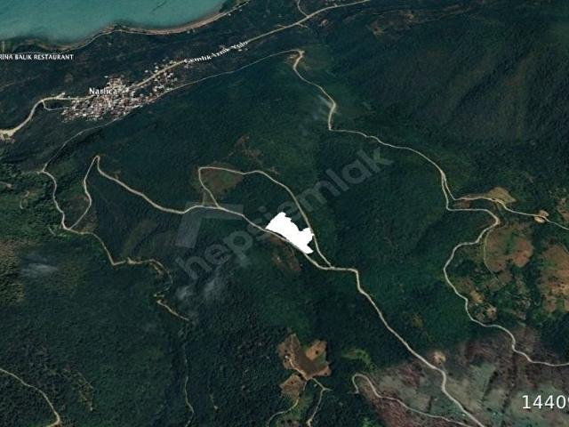 ORHANGAZİ NARLICA YOLA CEPHE SATILIK 12.400M2 TEK TAPU TARLA