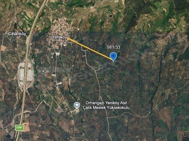 ORHANGAZİ YENİKÖY'DE 1.643M2 SATILIK ZEYTİNLİK