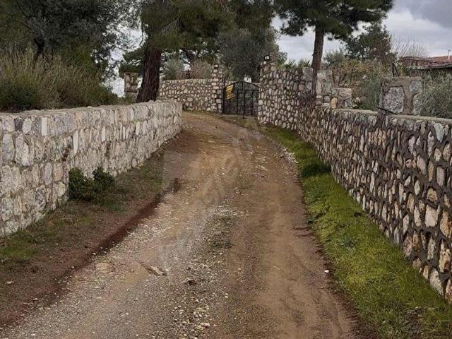 Orhanlıda Kadastral Yol Cepheli Deniz ve Orman Manzaralı Arazi