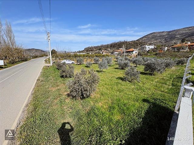 ORHANLI YOL ÜSTÜ 1211 m2 ŞAHANE KÖŞE TARLA !