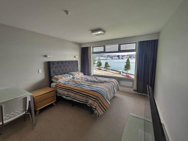 oriental bay, studio