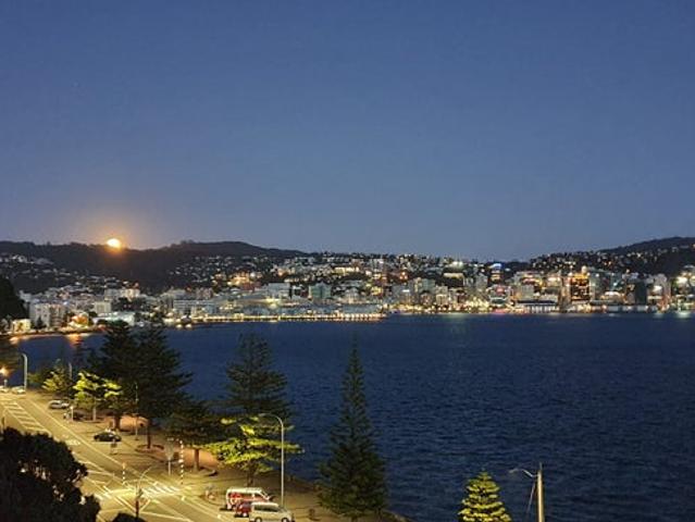 oriental bay, studio