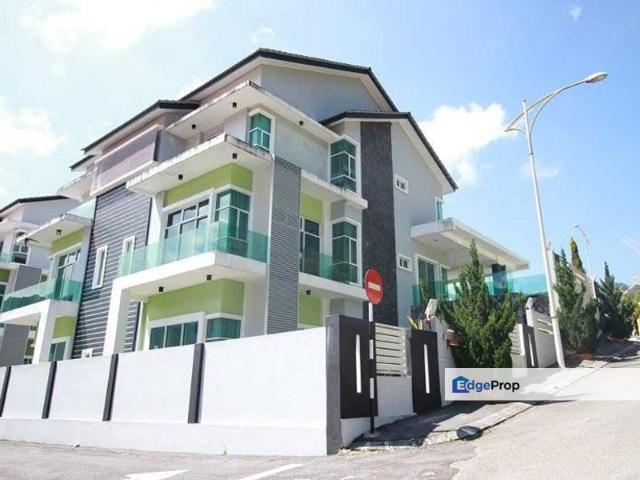 Oriental lily @ Yara Hills Cameron Highland