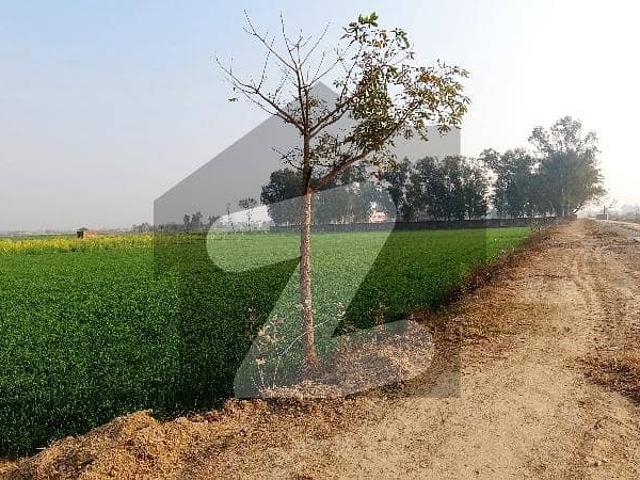 Original Price 4 Kanal Plot Corner Available For Sale Ideal Location For Farm House