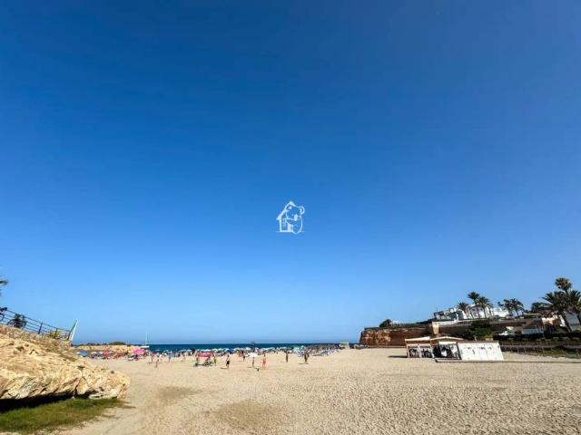 Orihuela
