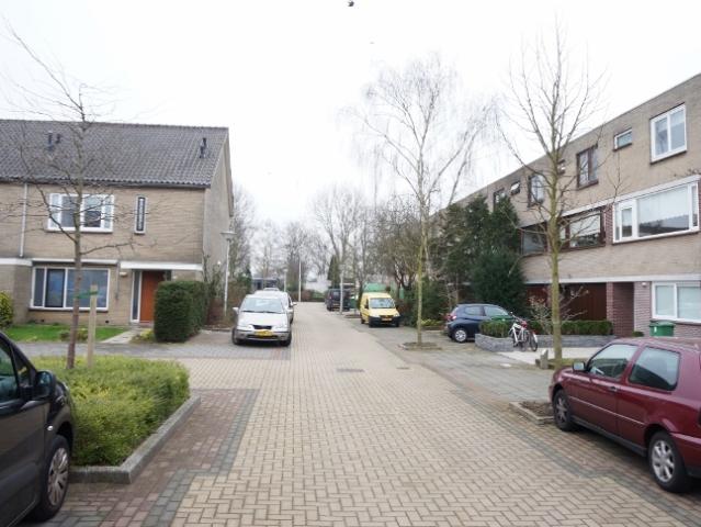 Orinoco, Amstelveen, Nederland