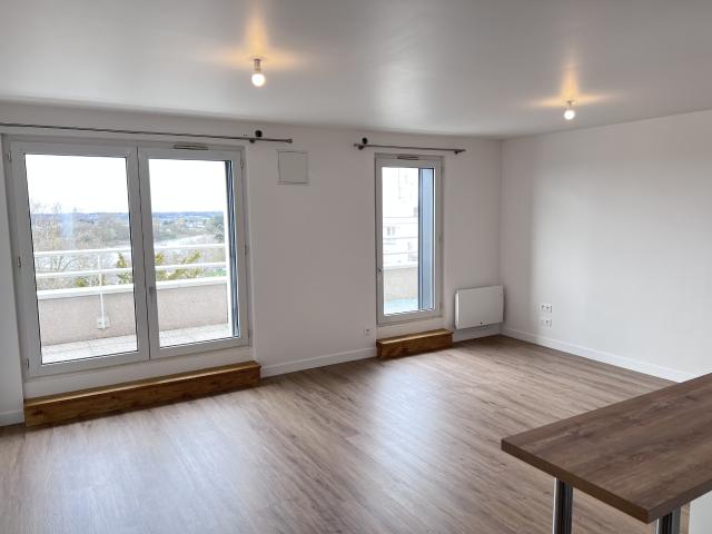 ORLEANS MADELEINE VUE MAGNIFIQUE SUR LA LOIRE F3 RENOVE Orléans 45000