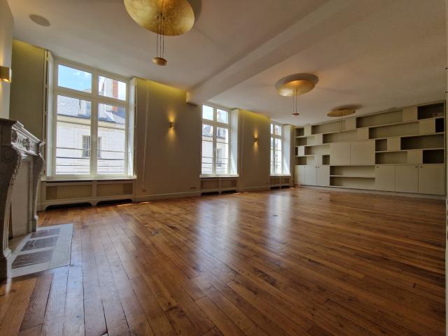 ORLEANS CENTRE LUXUEUX APPARTEMENT DE 215 M2 A LOUER 223 m²