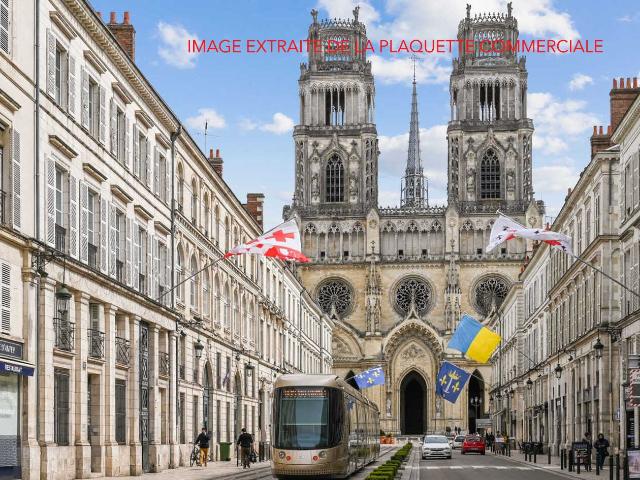 Orleans Vente Appartement 45