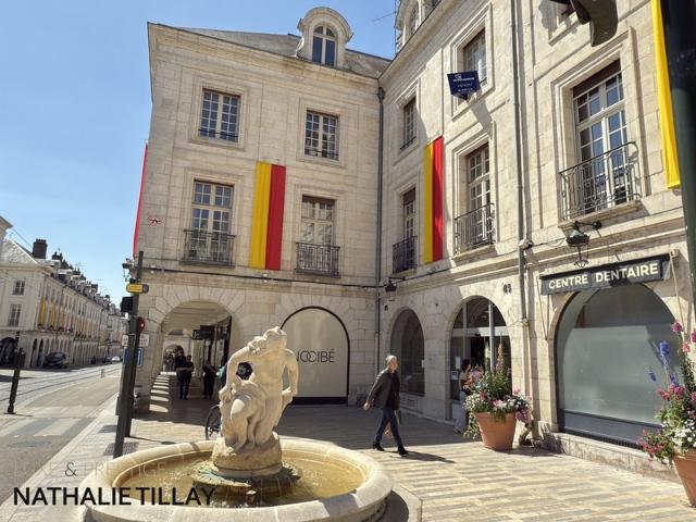 Orléans Vente Appartement 45