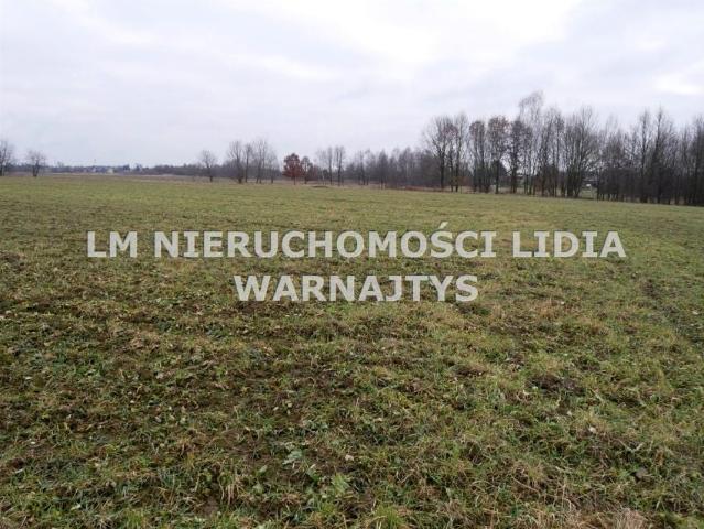 Żorska 996 m², Czerwionka Leszczyny
