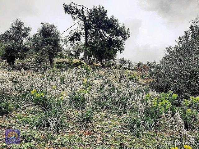 Ortaca Gökbel de doğa içinde 3 468 m2 tarla satılık
