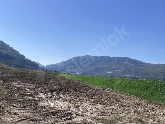 ORTACA GÜZELYURT MAH. 19 DÖNÜM TEK TAPU ARAZİ