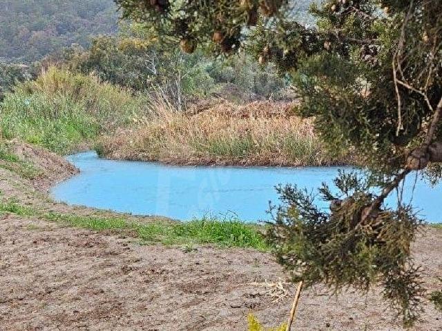 Ortaca Fevziye mah içinde termal su satılık tarla