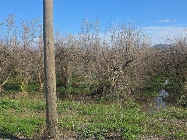 ORTACA FEVZİYE MAH.SATILIK İMARLI ARSA