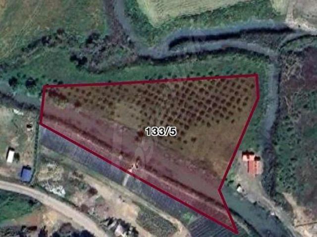 ORTACA LEON EMLAKTAN MERGENLİDE 6622 m2 KONTEYNIRLI YER