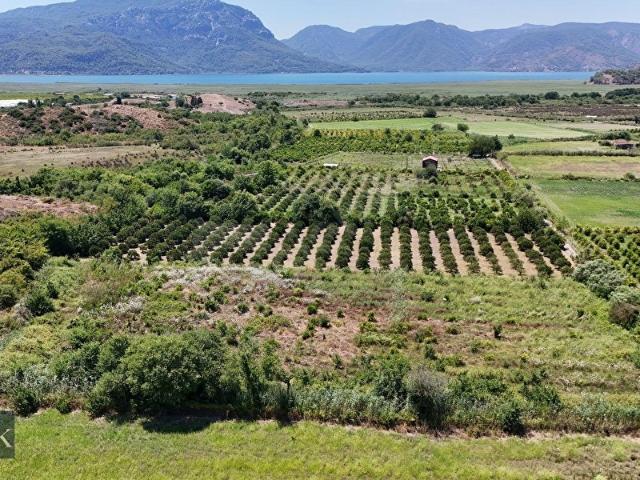 Ortaca Tepearası'nda Yollu Köyceğiz Gölü'ne Yakın 2525m Tarla