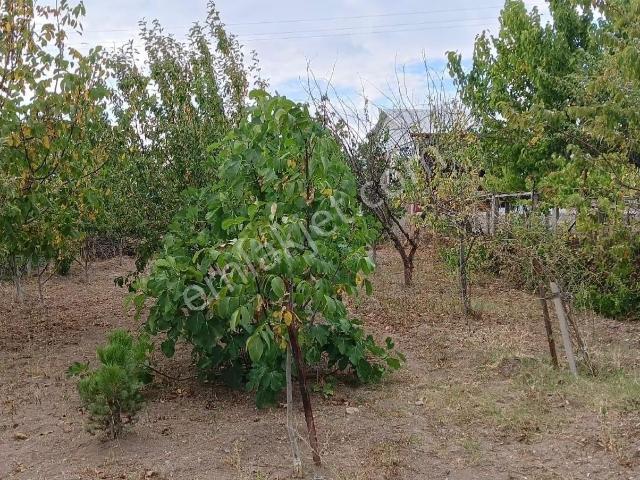Çorum Merkezde 560m2 Bahçe Ve Ev
