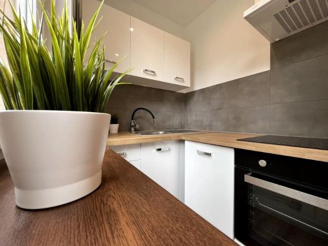 Orzegowska 28 m², Bytom