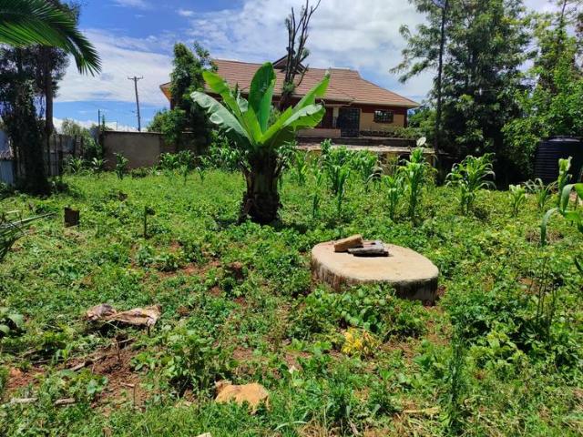 Own a quarter acre of prime real estate in the esteemed Elgon View neighborhood, directly accessible from the tarmac road