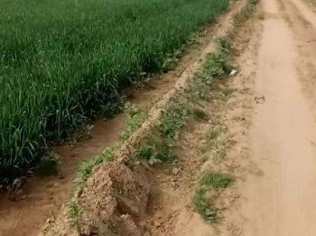 Owners Commercial Land 8 Acre in Pipli Kurukshetra Listing ID: #10179