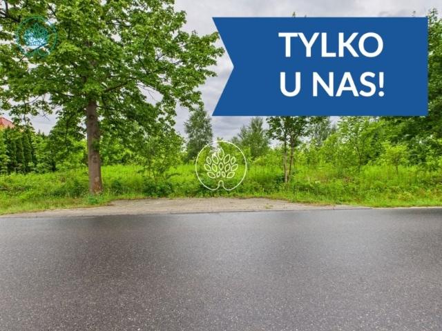 Owocowa 1 503 m², Głogowo