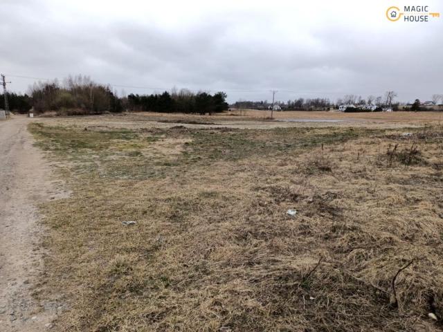 Owsiana 4 792 m², Dobrzewino