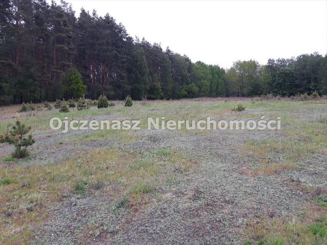 Działka pod dom z lasem, 1011 m², spokój i możliwości