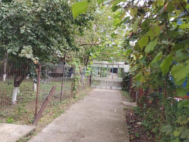 Otopeni, Calea Bucurestilor, casa, 4 camere, curte
