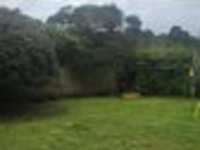 Otangarei, 3 bedrooms, $505 pw