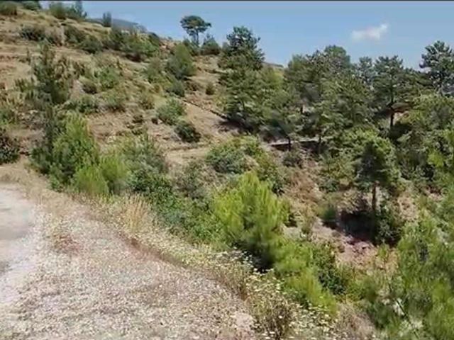 ÖTEKÖY MAHALLESİNDE SATİLİK 3.593 M2 TARLA