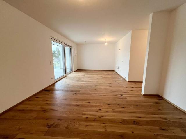 Ottensheim Donaublick Eigengarten