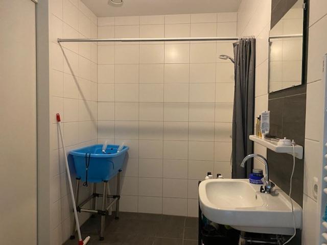 Ottertjes 29
