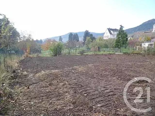 Ottrott 67530 Achat / Vente terrain