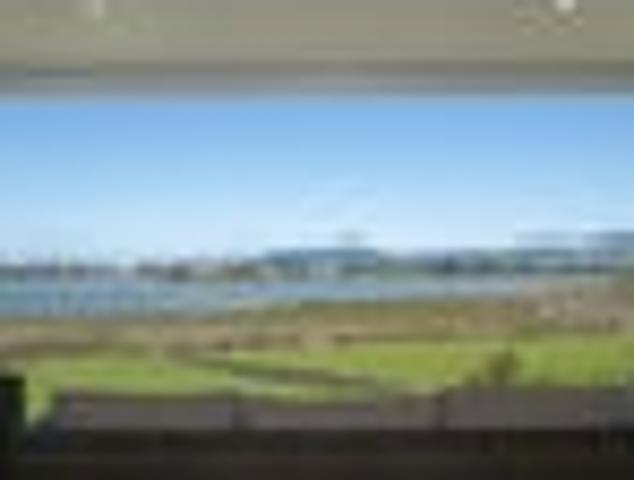 Otumoetai, 5 bedrooms, $1000 pw